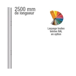 Bandeau électromagnétique 2500 mm série 2 X 300 Kg, 12 ou 24V