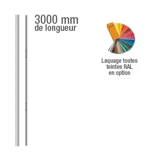 Bandeaux électromagnétiques 3000 mm série 2 X 300 Kg, 12 ou 24V