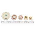 Disc tag RFID MIFARE
