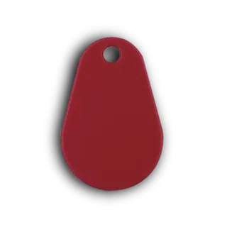 Tag porte-clés RFID KFX  surmoulé NXP MIFARE
