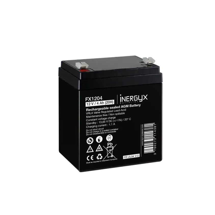 Batterie rechargeable VRLA 12V 4Ah